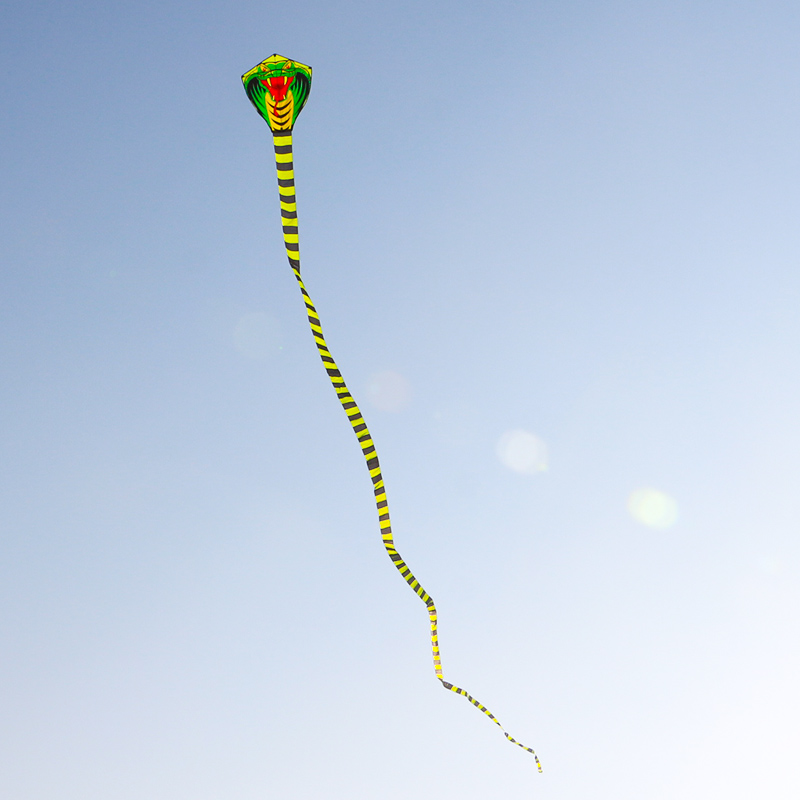 Paradise Bird 8m/15m Snake Kit - Outdoor Sport Outlet ulasan dan harga